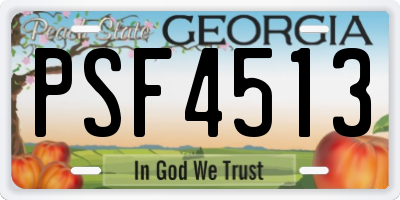 GA license plate PSF4513
