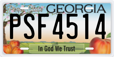 GA license plate PSF4514