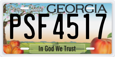 GA license plate PSF4517