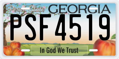 GA license plate PSF4519