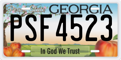 GA license plate PSF4523