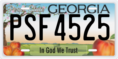 GA license plate PSF4525