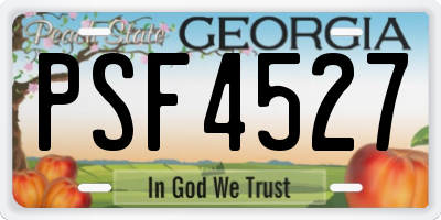 GA license plate PSF4527