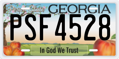 GA license plate PSF4528