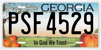 GA license plate PSF4529