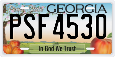 GA license plate PSF4530