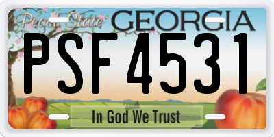 GA license plate PSF4531