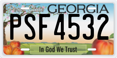 GA license plate PSF4532