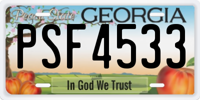 GA license plate PSF4533