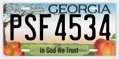 GA license plate PSF4534