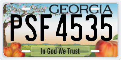 GA license plate PSF4535