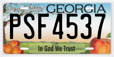GA license plate PSF4537
