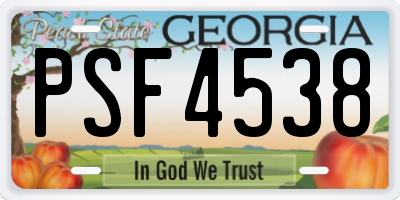 GA license plate PSF4538