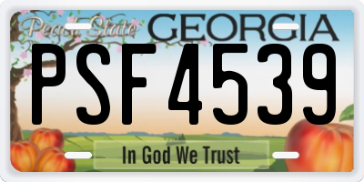GA license plate PSF4539