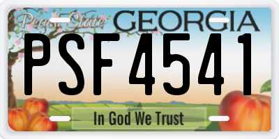 GA license plate PSF4541