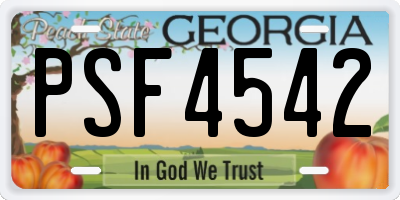 GA license plate PSF4542