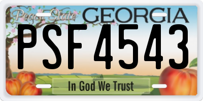 GA license plate PSF4543