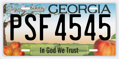 GA license plate PSF4545