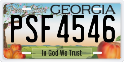 GA license plate PSF4546