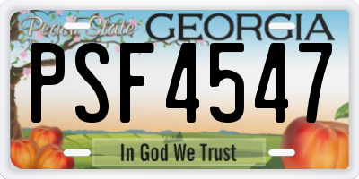 GA license plate PSF4547