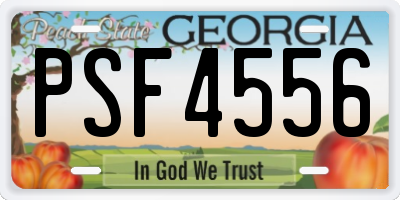 GA license plate PSF4556