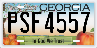 GA license plate PSF4557