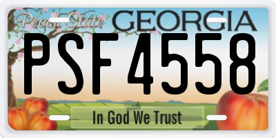 GA license plate PSF4558