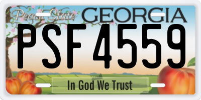 GA license plate PSF4559