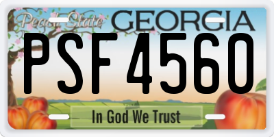 GA license plate PSF4560