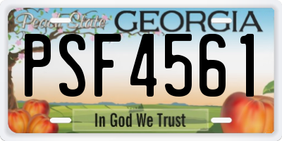 GA license plate PSF4561