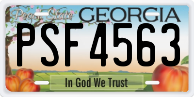 GA license plate PSF4563