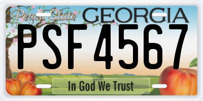 GA license plate PSF4567