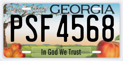 GA license plate PSF4568