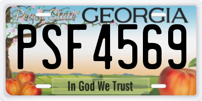 GA license plate PSF4569