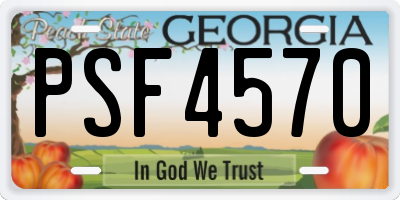GA license plate PSF4570