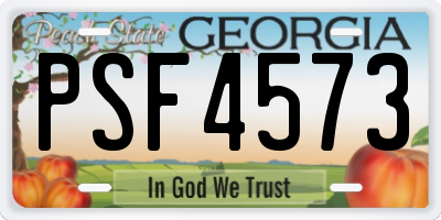 GA license plate PSF4573