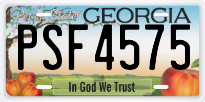 GA license plate PSF4575