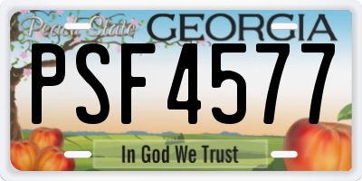GA license plate PSF4577