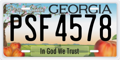 GA license plate PSF4578