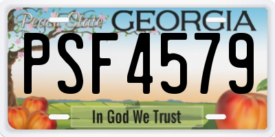 GA license plate PSF4579