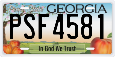 GA license plate PSF4581