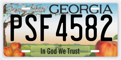 GA license plate PSF4582