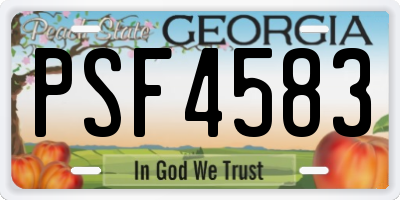 GA license plate PSF4583