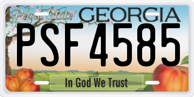 GA license plate PSF4585