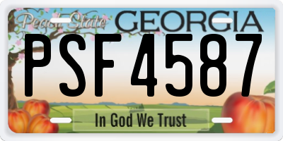 GA license plate PSF4587