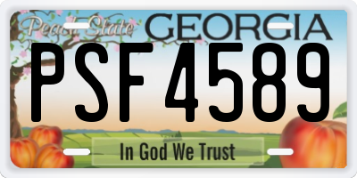 GA license plate PSF4589