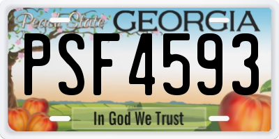 GA license plate PSF4593