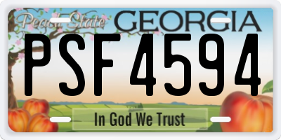 GA license plate PSF4594