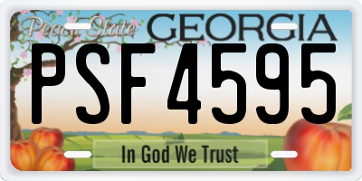 GA license plate PSF4595