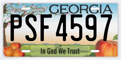 GA license plate PSF4597